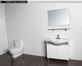 箭牌卫浴洁具ARROW浴室柜AP325 APG325 A价格,图片,参数 建材卫浴柜盆 北京房天下家居装修网